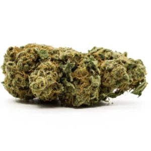 AK47 PREMIUM
