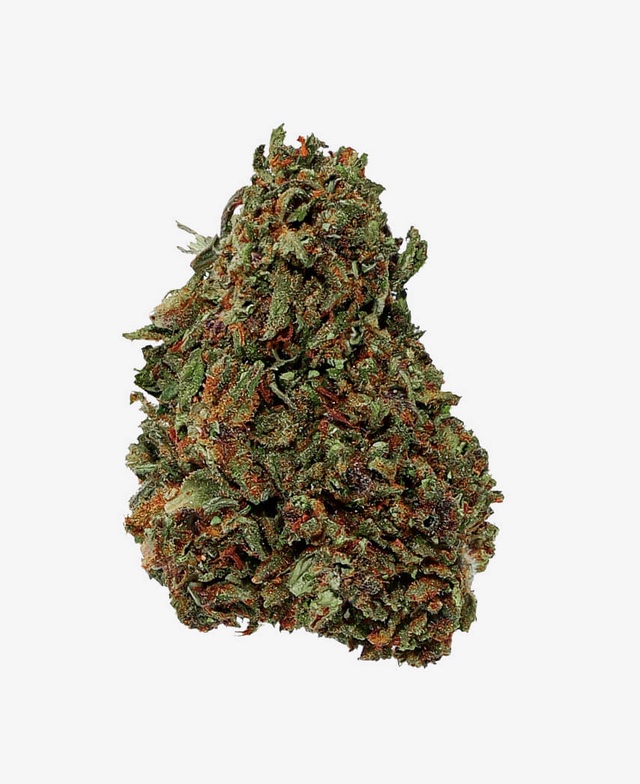 Alien OG PREMIUM