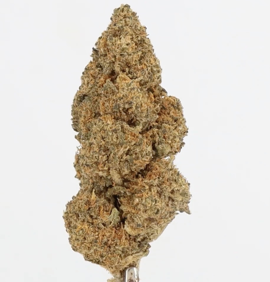 Blue Dream PREMIUM