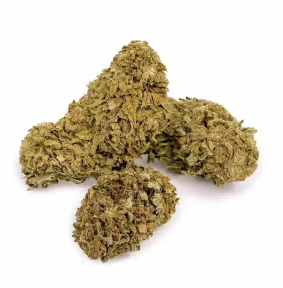 NORTHERN LIGHT PREMIUM