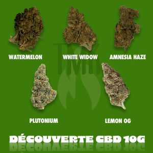 Pack de 10g (5 variétés de 2g chacune)