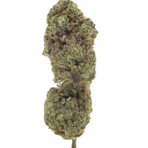 Blue Dream CBD