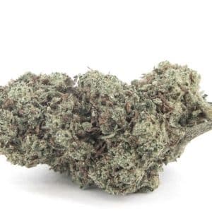 Wasabi Haze CBD THC_X
